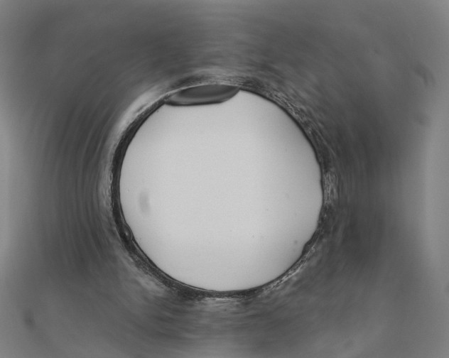 X0000111420150200908101103