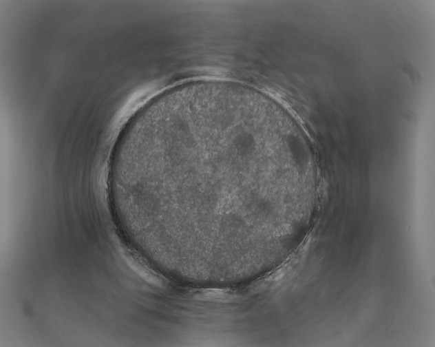X0000111420151200908101103