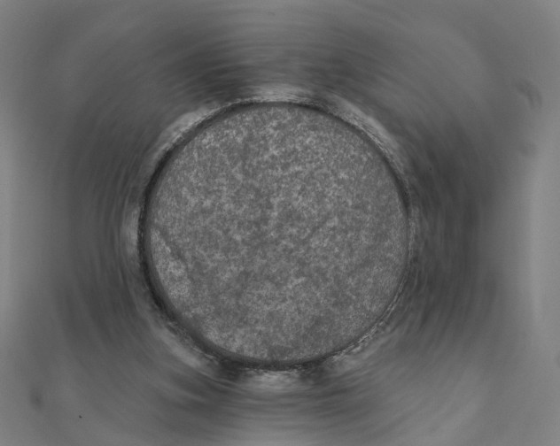 X0000111420155200908101103