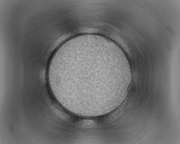 X0000111420159200908101103