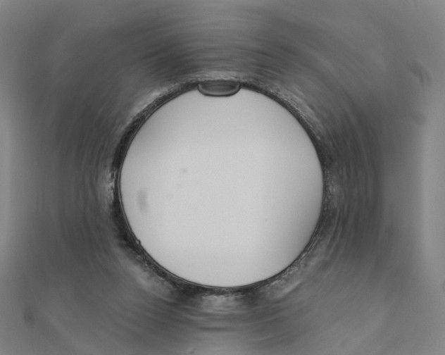 X0000111420160200908101103