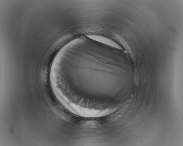 X0000111420163200908101103