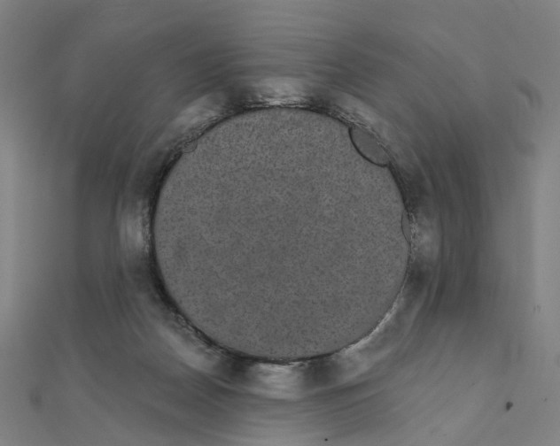 X0000111420170200908101103
