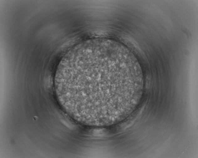 X0000111420173200908101103