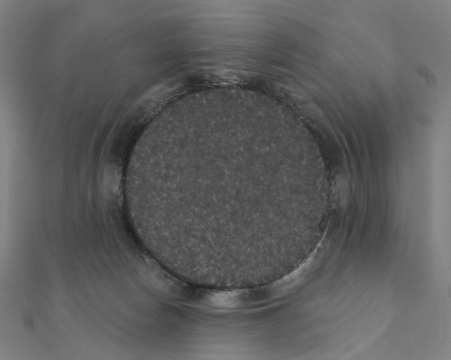 X0000111420178200908101103