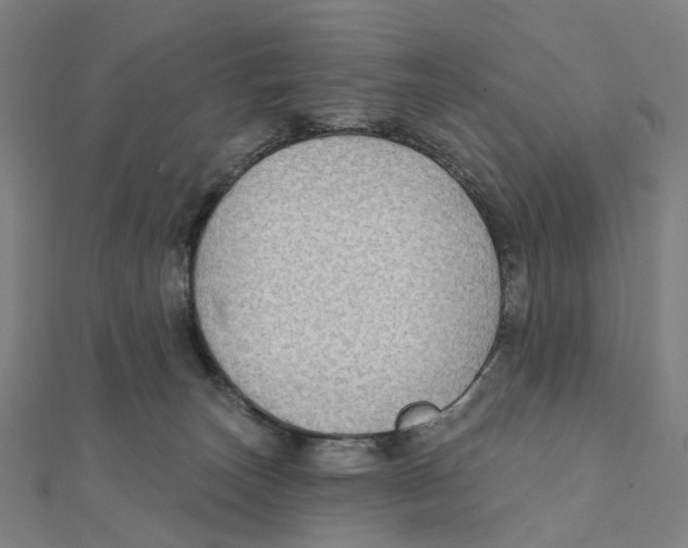 X0000111420179200908101103
