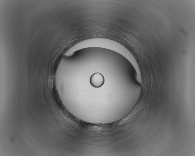 X0000111420180200908101103