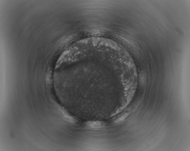 X0000111420181200908101103