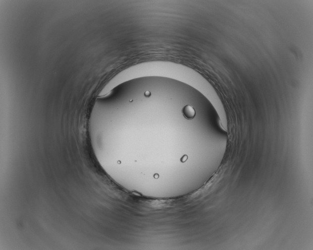 X0000111420184200908101103