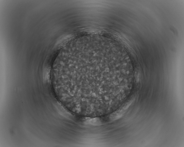 X0000111420185200908101103