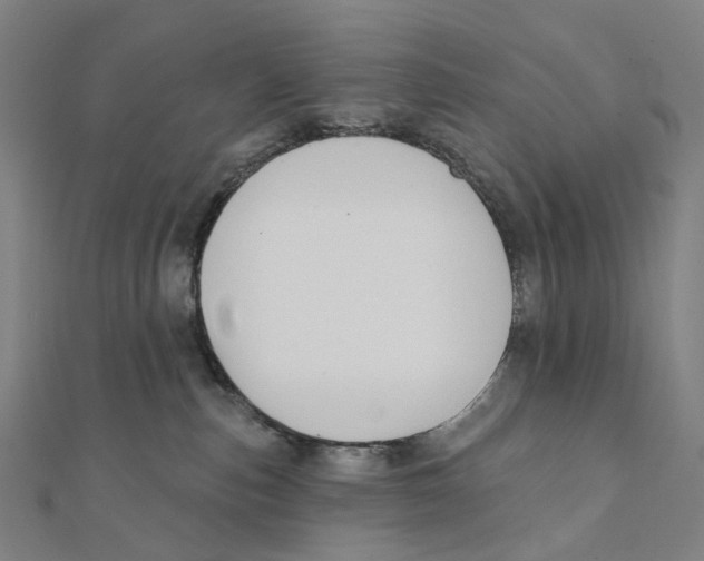 X0000111420187200908101103