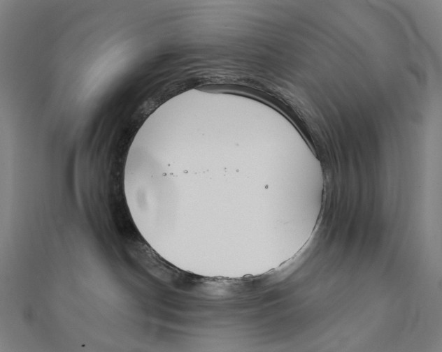 X0000111420190200908101103
