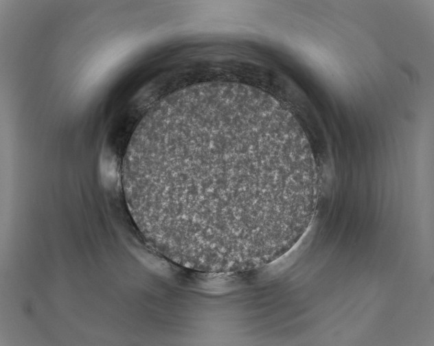 X0000111420191200908101103