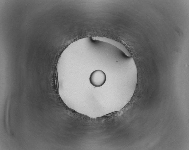 X0000111420192200908101103