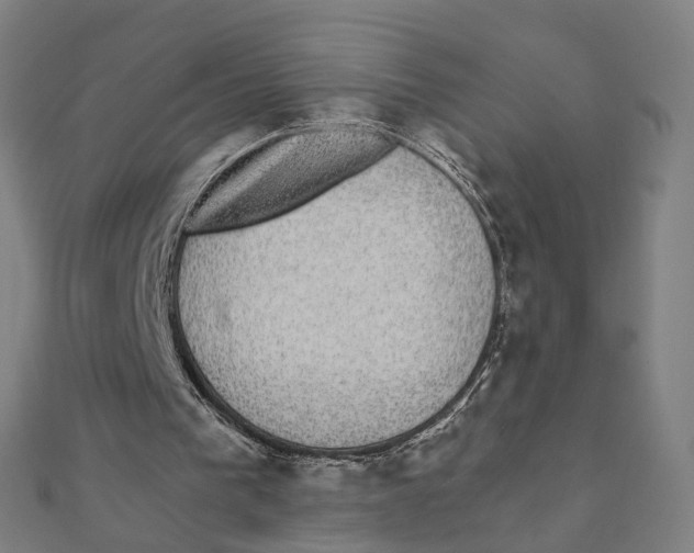 X0000111420193200908101103