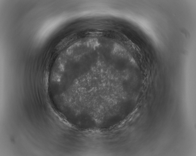 X0000111420194200908101103