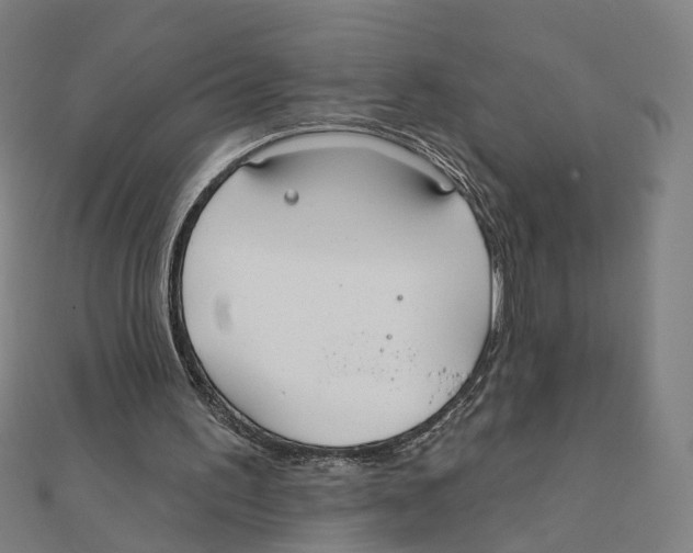 X0000111420195200908101103