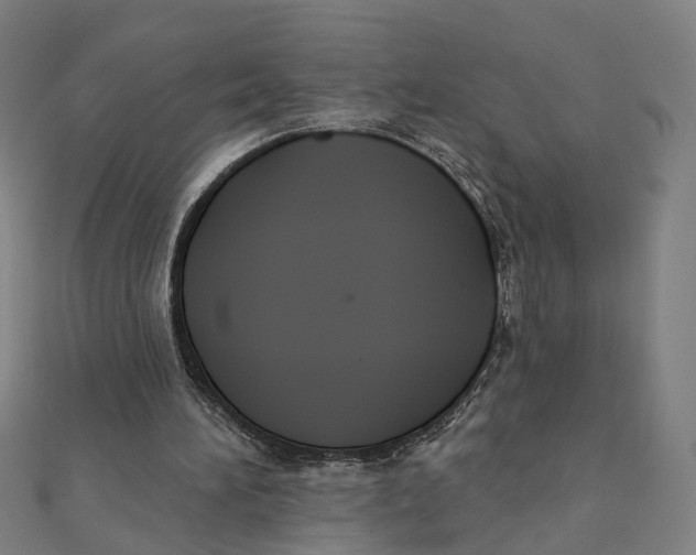 X0000111420196200908101103