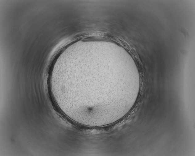 X0000111420197200908101102