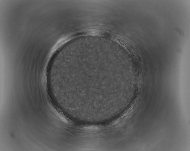 X0000111420198200908101102