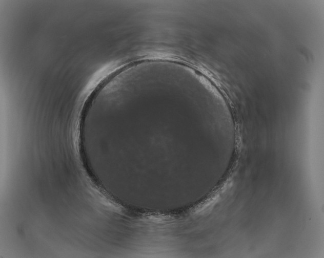 X0000111420199200908101102