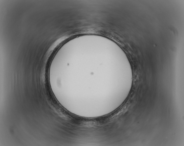 X0000111420200200908101102