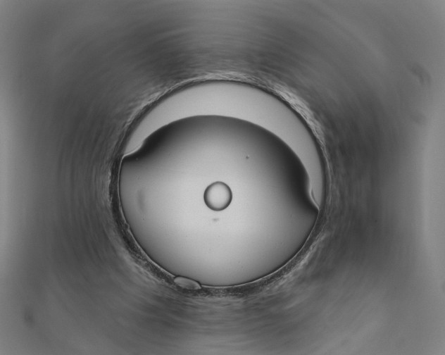 X0000111420201200908101102