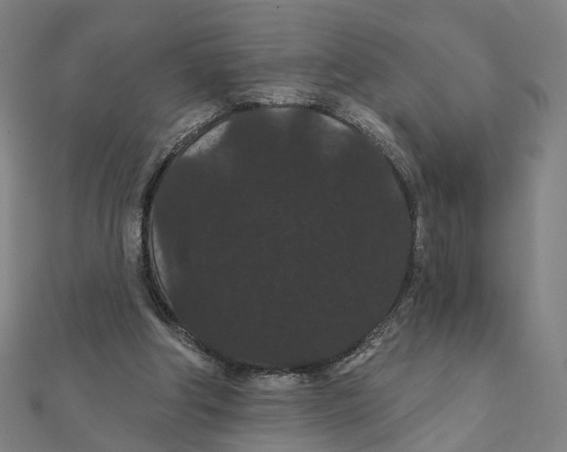X0000111420202200908101102