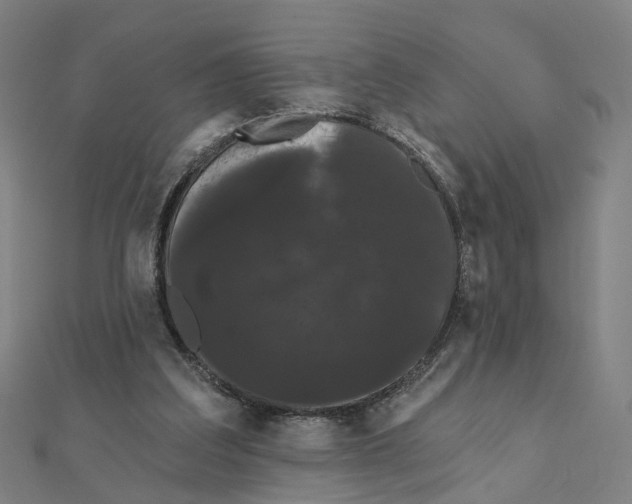 X0000111420203200908101102