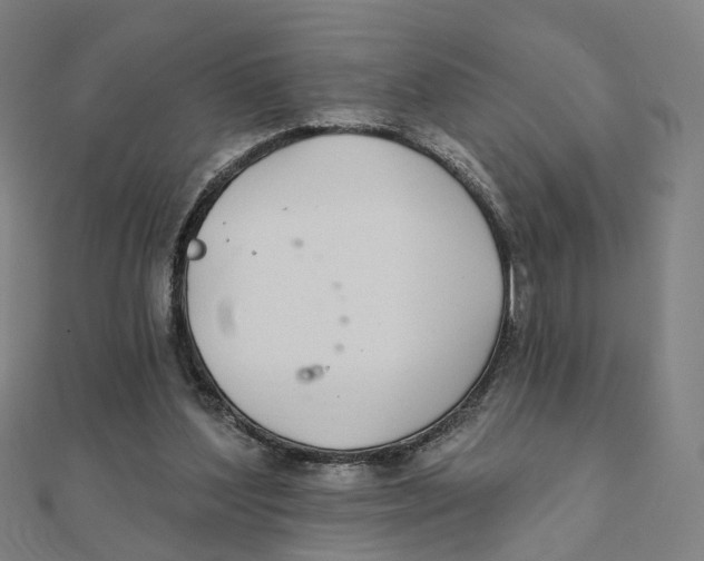X0000111420204200908101102