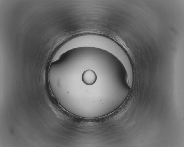X0000111420205200908101102
