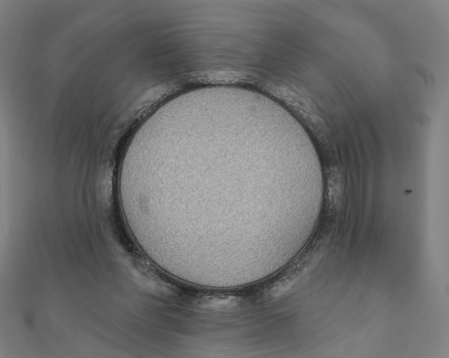 X0000111420206200908101102