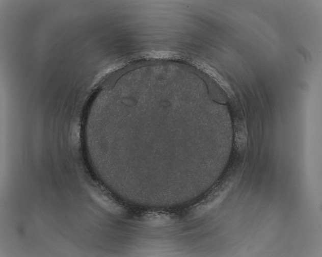 X0000111420207200908101102