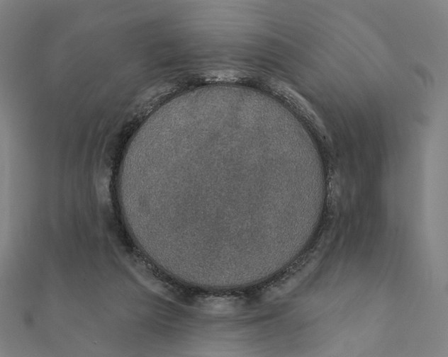 X0000111420209200908101102
