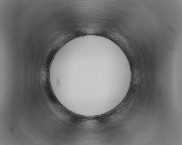 X0000111420210200908101102