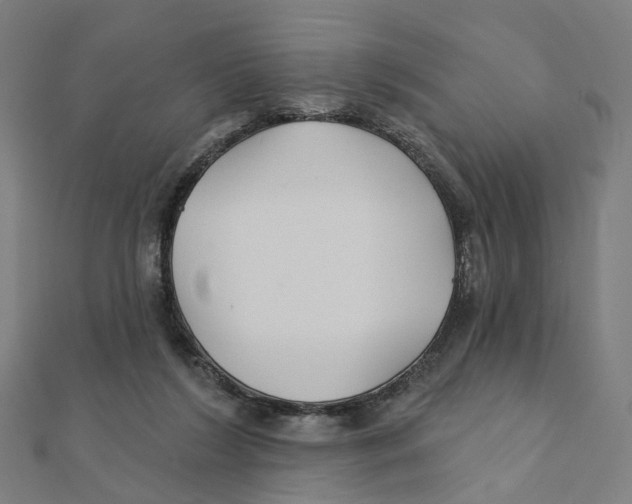 X0000111420212200908101102