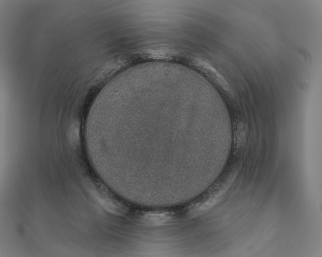 X0000111420213200908101102