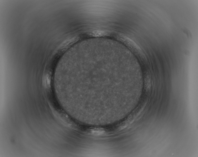 X0000111420214200908101102