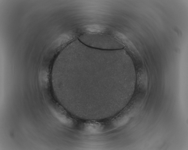 X0000111420215200908101102