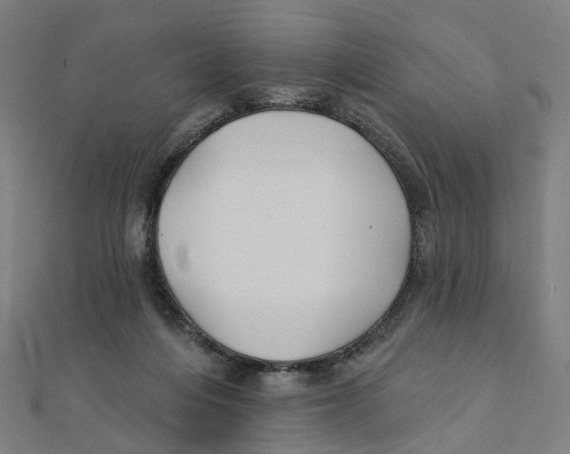 X0000111420216200908101102