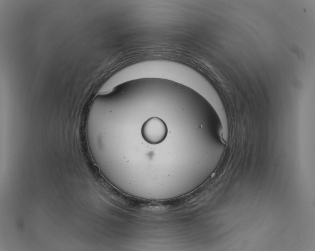 X0000111420217200908101102