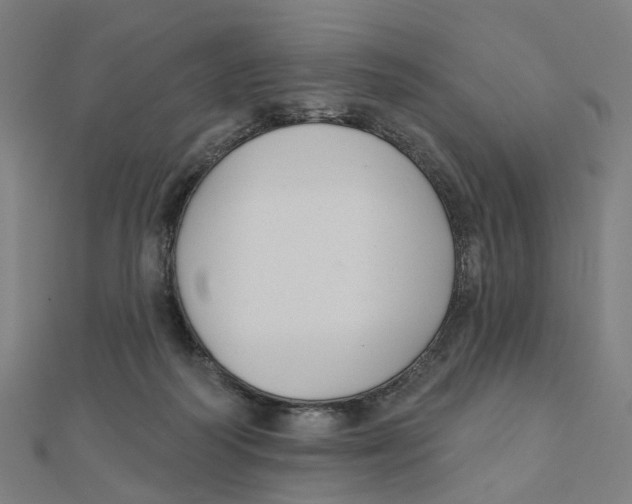 X0000111420218200908101102