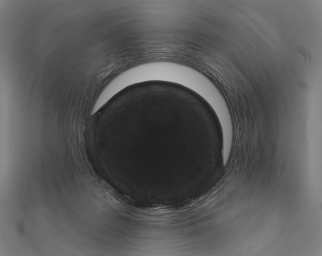 X0000111420219200908101102