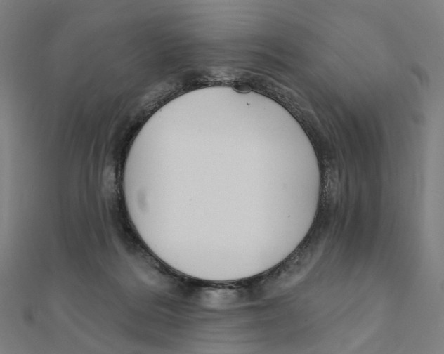 X0000111420220200908101102