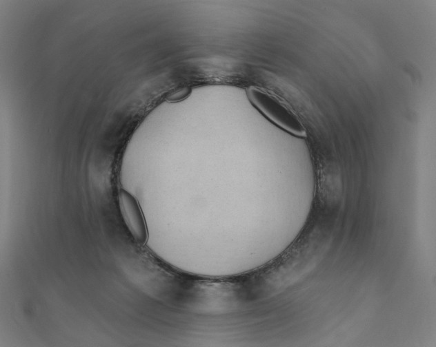 X0000111420221200908101102