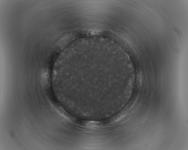 X0000111420222200908101102