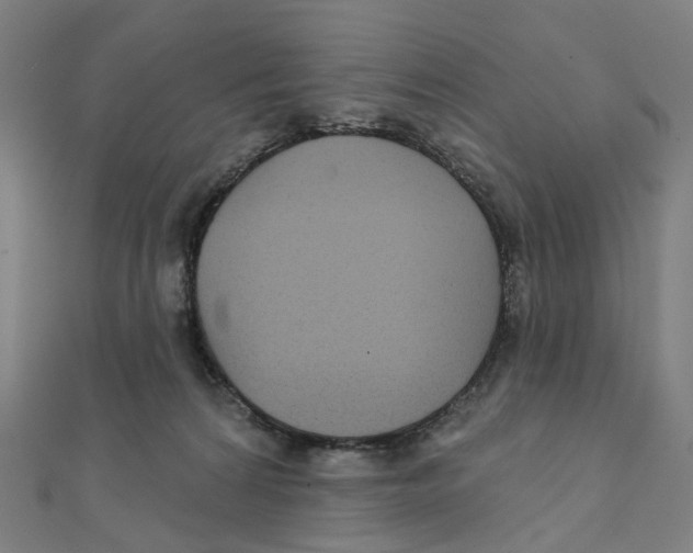 X0000111420224200908101102