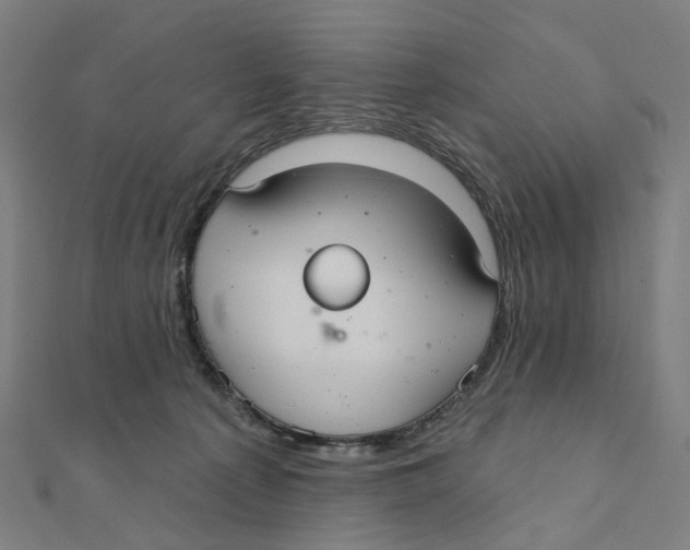X0000111420225200908101102
