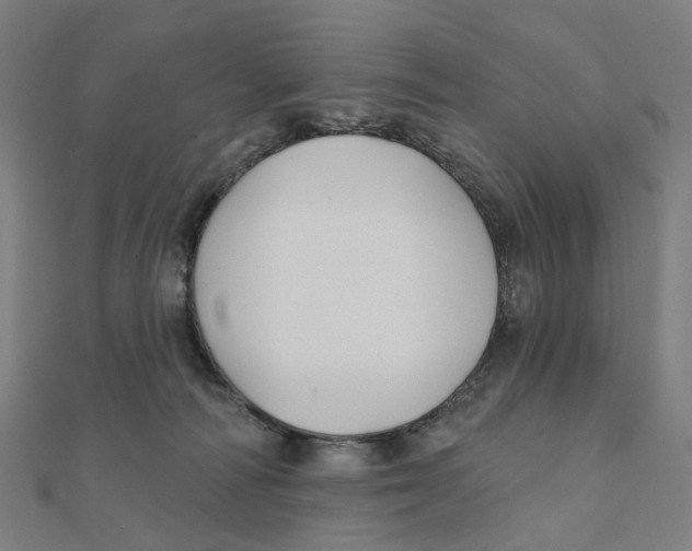 X0000111420226200908101102
