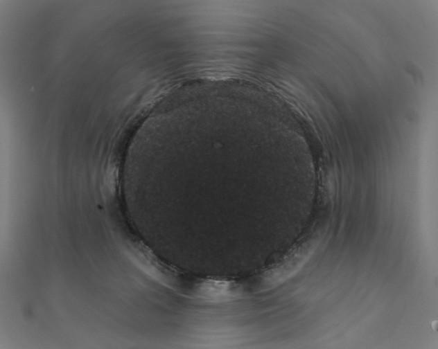 X0000111420227200908101102